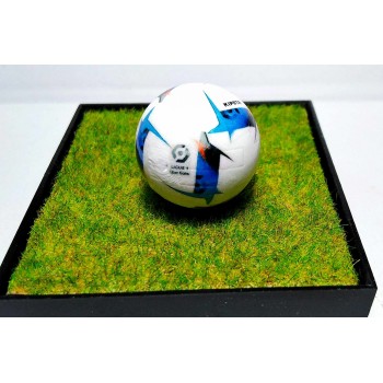 Subbuteo Andrew Table soccer Kipsta Ligue 1 2022-23 official ball